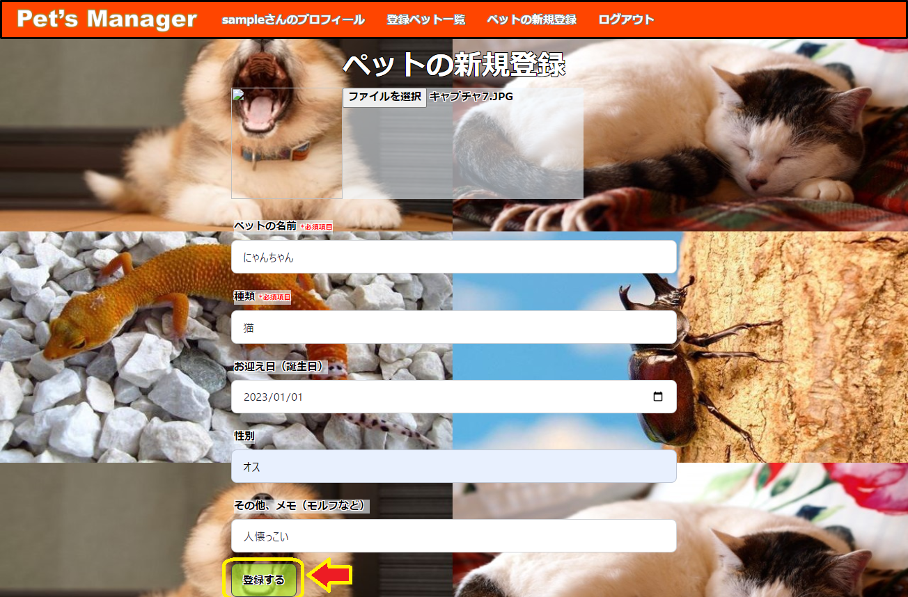 pets-create